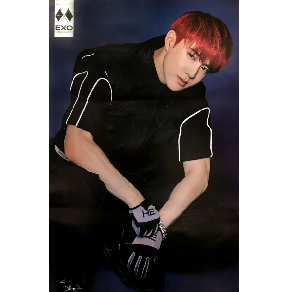 엑소 | EXO | 6TH ALBUM [ OBSESSION ] | (OBSESSION - SUHO VER.) POSTER ONLY For Sale